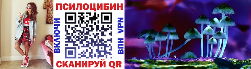 что такое наркотик  Железногорск  darknet наркотические препараты  Галлюциногенные грибы Cubensis 