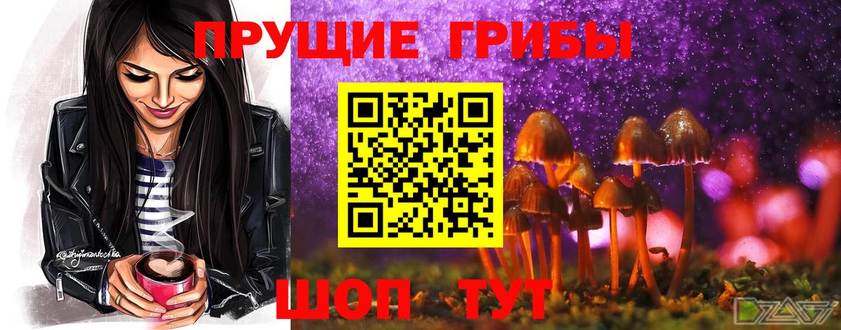 Железногорск  Галлюциногенные грибы Cubensis  Вход с VPN  Галлюциногенные грибы MAGIC MUSHROOMS 